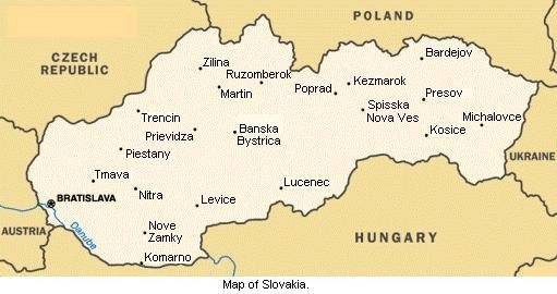 Slovakia tightens border with flu-hit Ukraine