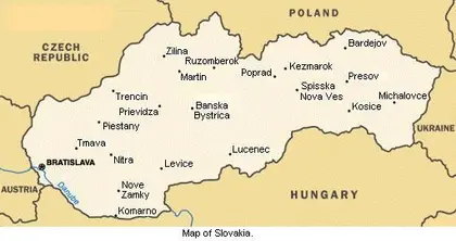 Slovakia tightens border with flu-hit Ukraine
