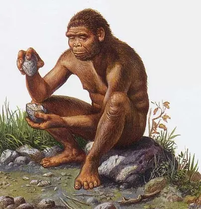 The Telegraph: Missing link between man and apes found