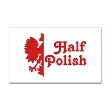 Yanukovych announces Polish roots ahead of Warsaw trip on Feb. 3