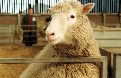 Scientist who helped clone sheep Dolly dies
