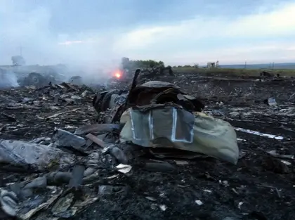 Ukraine government, Malaysia Airlines confirm passenger plane crash, at least 295 presumed dead (UPDATES, VIDEO)