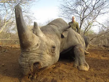 Ukrainian lawmaker faces criticism for killing endangered black rhino in Africa