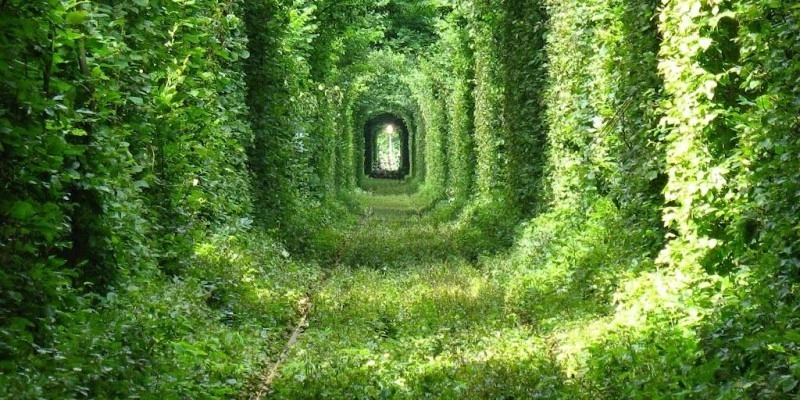 Ukrinform: Tunnel of Love among 10 of the world’s lesser-known romantic places