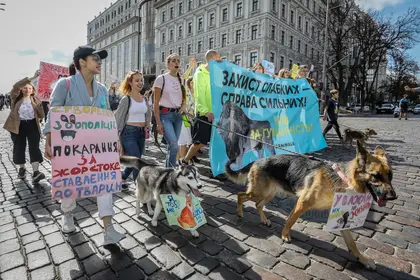 Hromadske: Meet people saving animals in Ukraine