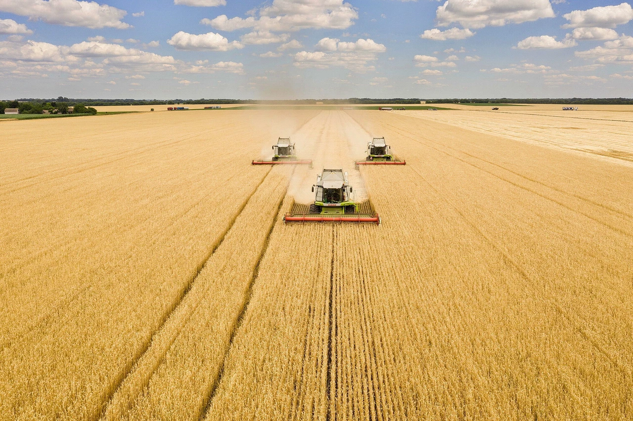 Ukraine becomes second largest exporter of grain in 2019/2020 agri-year