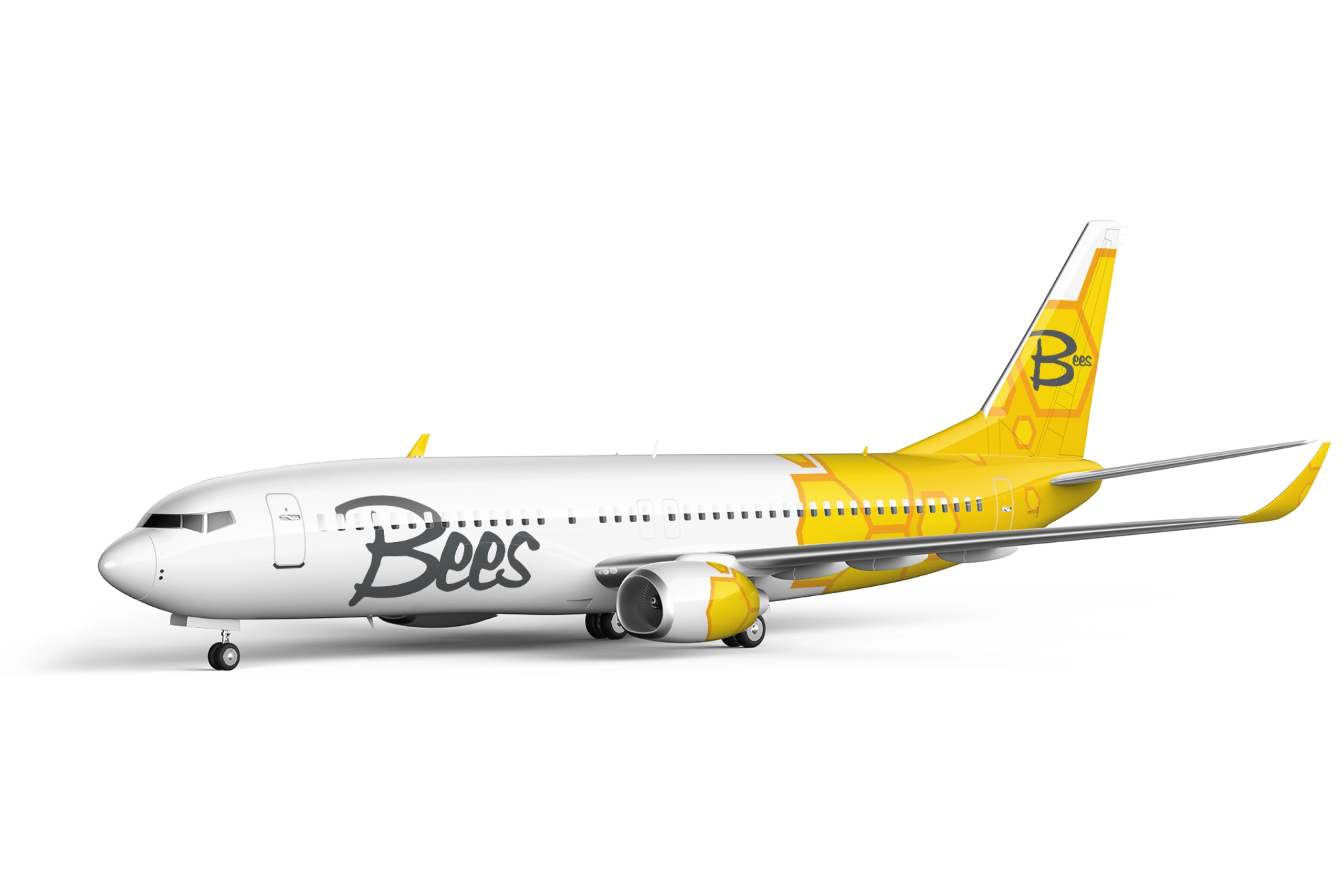 Ukraine’s new low-cost Bees Airlines takes off