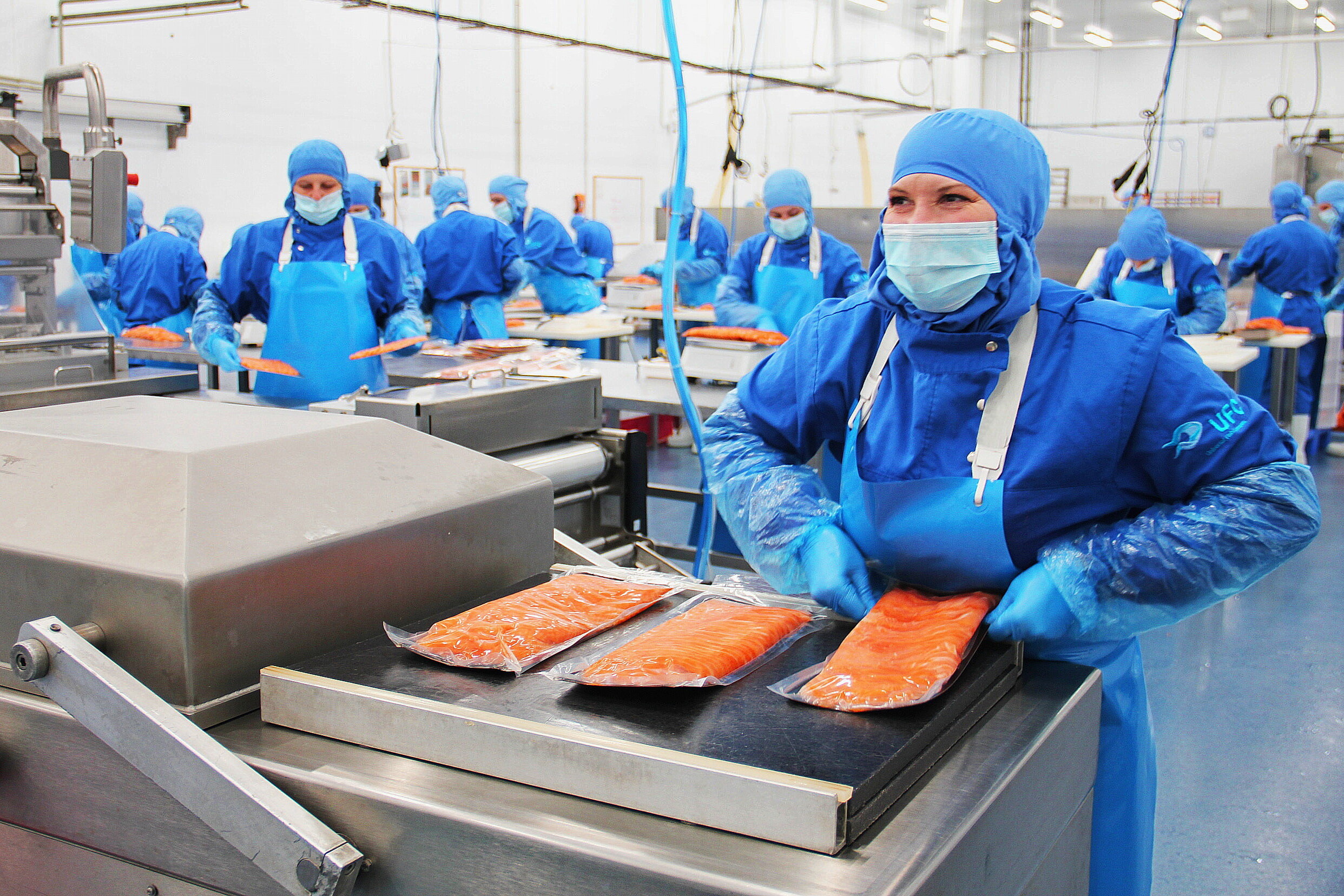 Could Ukraine become a hub for processing Norway’s fish?