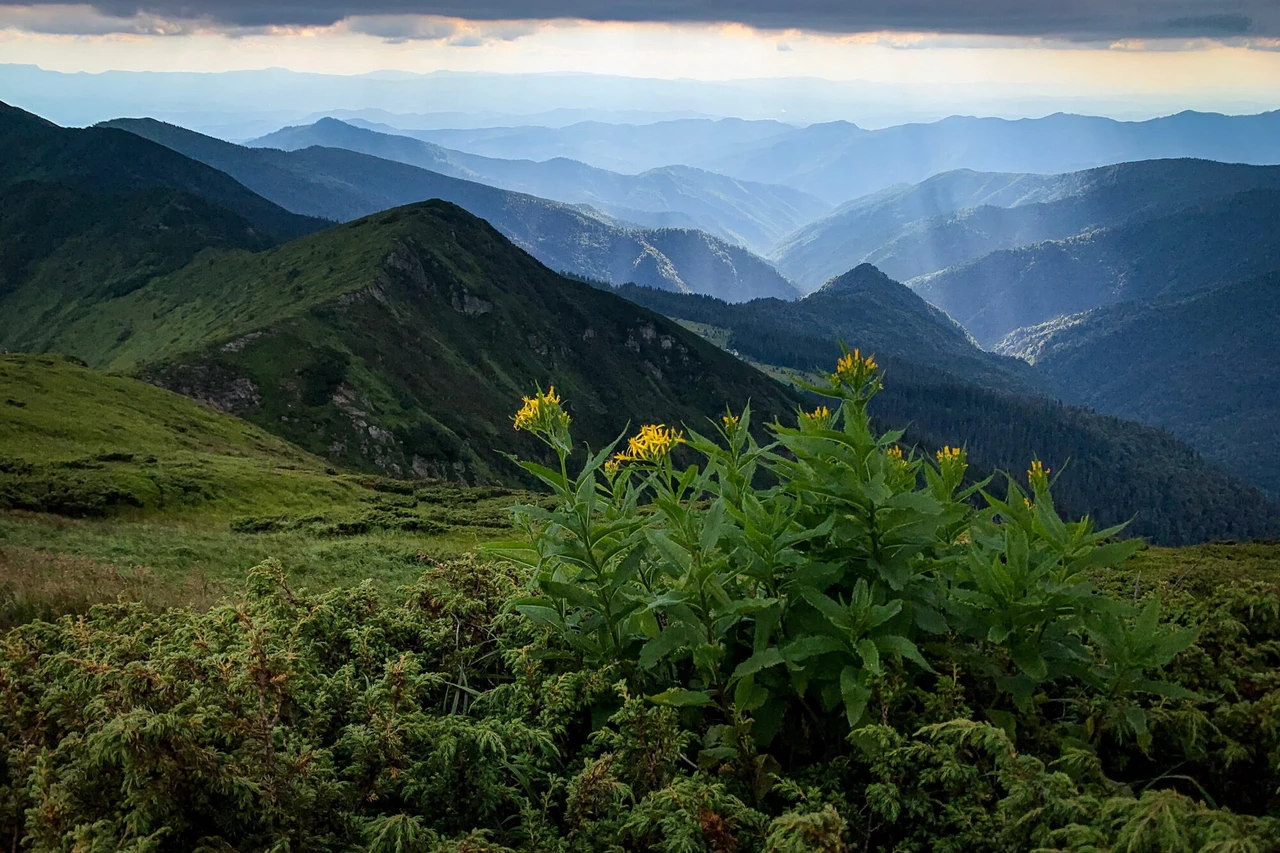 EuroMaidan Press: Take a look at 30 best photos of the Carpathian Mountains