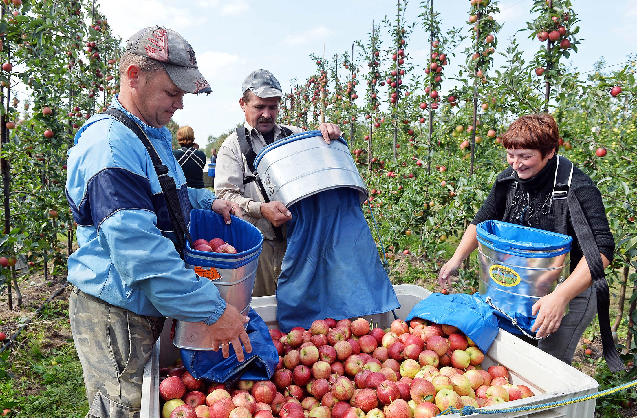 IOM: Poland is main destination for migration of Ukrainians