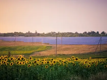 Russia Stole Ukraine’s Largest Solar Plant