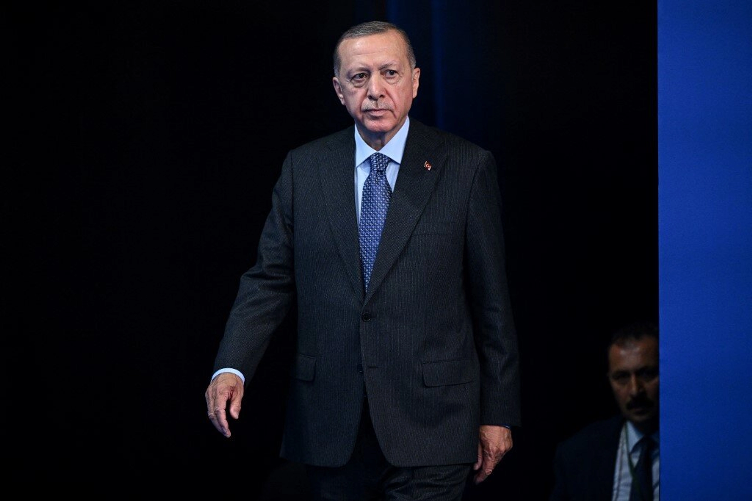 Turkey’s Erdogan Promises to Assist Ukraine Recover Stolen Grain