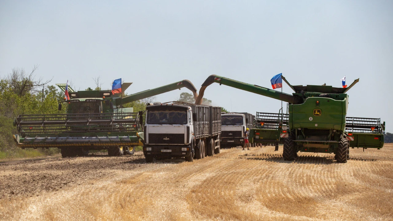 Russia and Ukraine Seek to Break Grain Impasse in Turkey