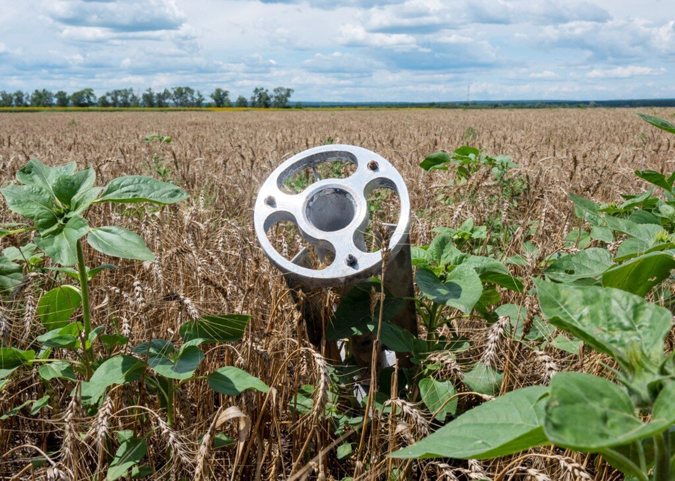 Initiative launched by USA to Provide Support for Ukrainian Farmers Hit by Russian Invasion.