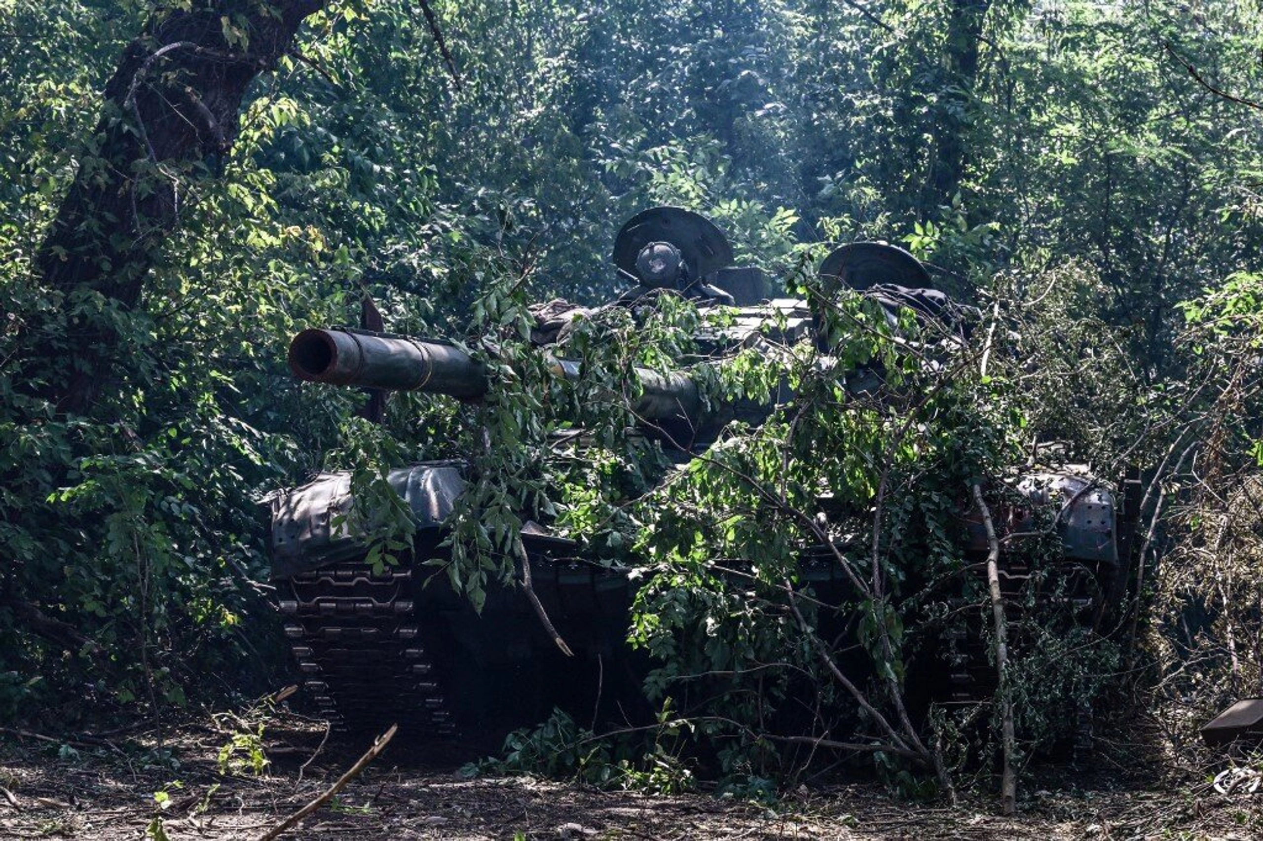 American, Canadian, and Swedish Citizens Killed by Russian Tank