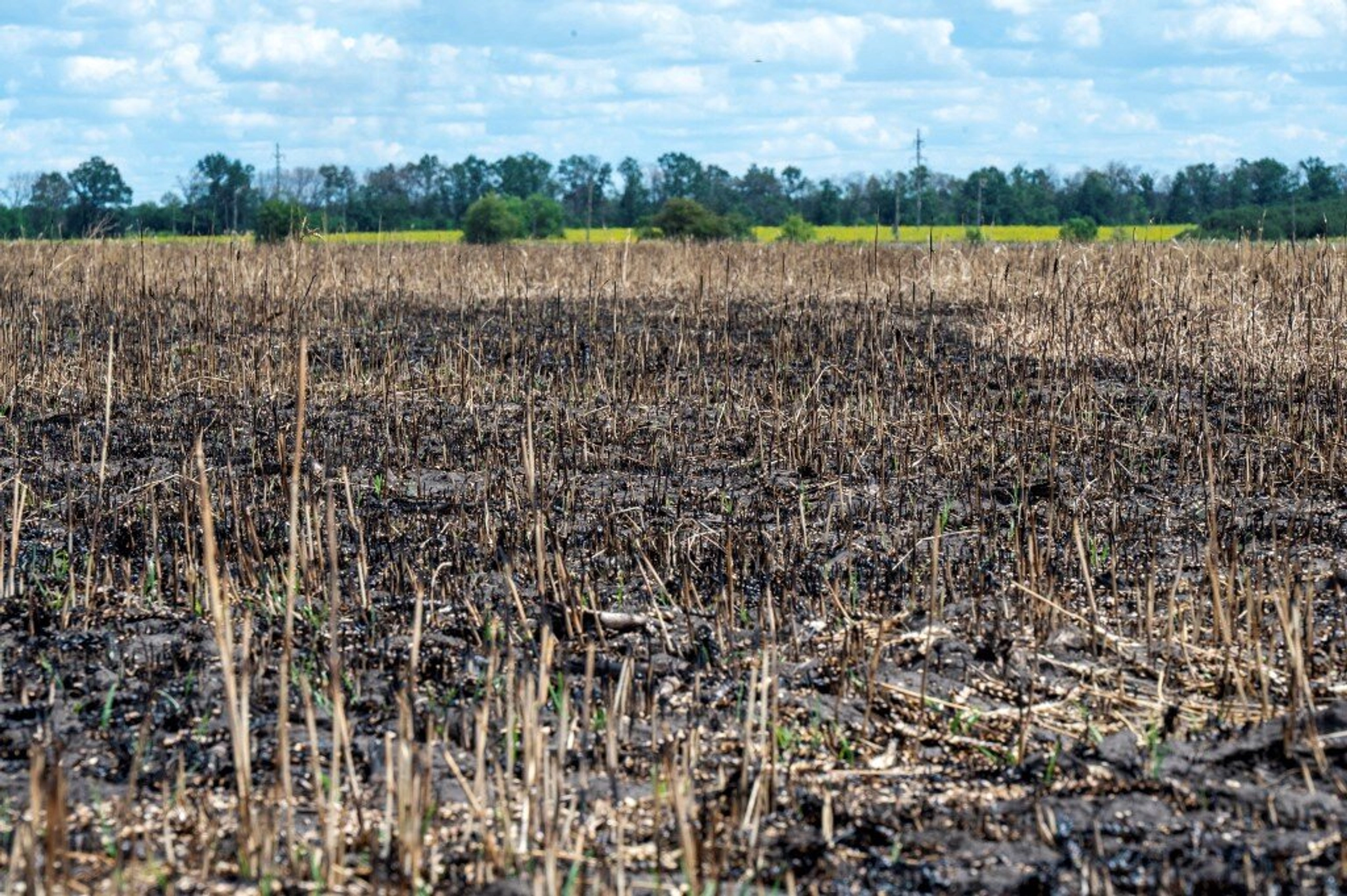 Post-War Environmental Restoration: Cooperation Between Ukraine and Czech Republic