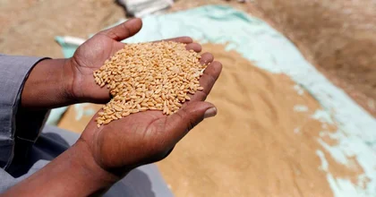 Center to Monitor Ukrainian Grain Exports Opens in Istanbul