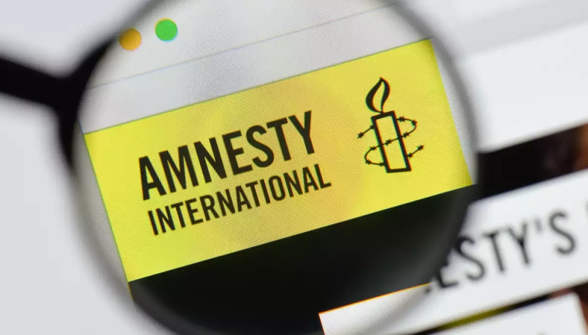 Amnesty International вибачилася за свій останній звіт щодо України