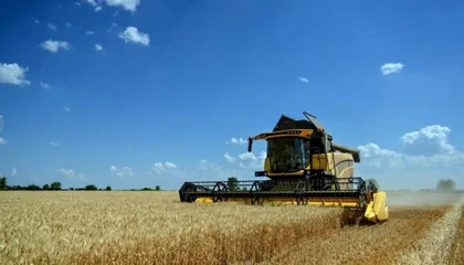 Ukrainian Farmers Already Harvested More than 20 Million Tonnes of Grain