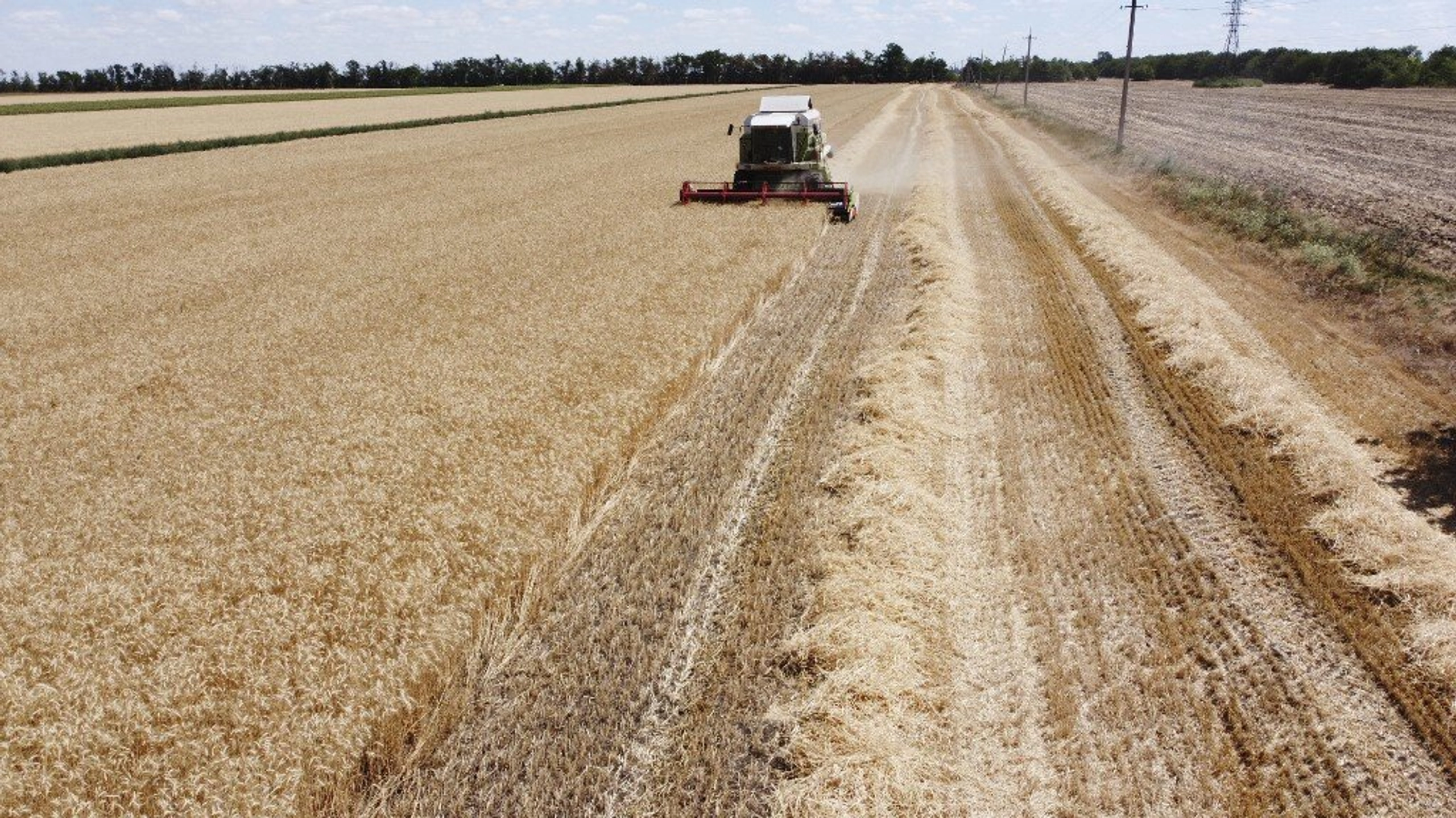 Nightmare in the Fields of Gold: Ukrainian Farmers Risking Lives and Livelihoods