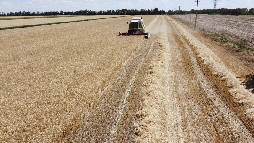 Nightmare in the Fields of Gold: Ukrainian Farmers Risking Lives and Livelihoods