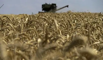 Turkey Claims Ukrainian Grain Deal “Lays Groundwork for Permanent Peace”