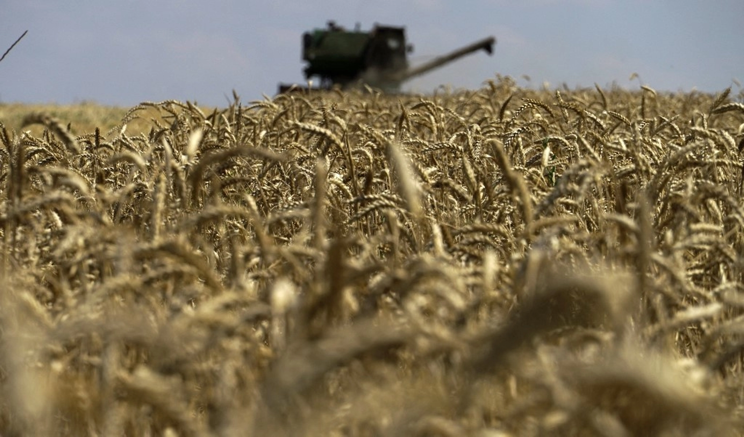 UN Ship with Ukraine Wheat Docks in Drought-Hit Horn of Africa