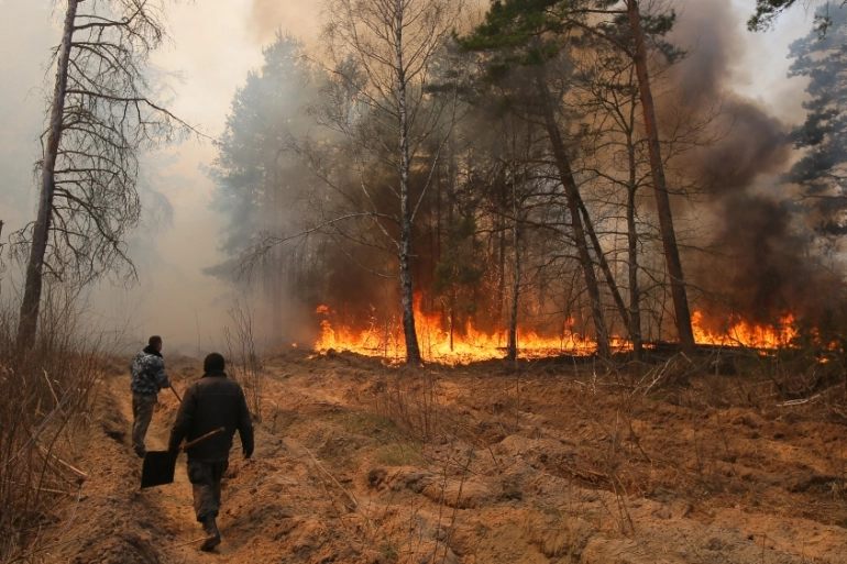 Over $24 Billion – Toll of Environmental Destruction from Russia’s War