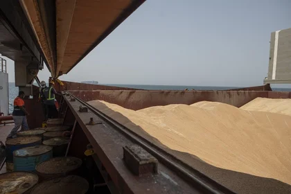 Large Part of Ukraine Grain Storage Lost in War: report