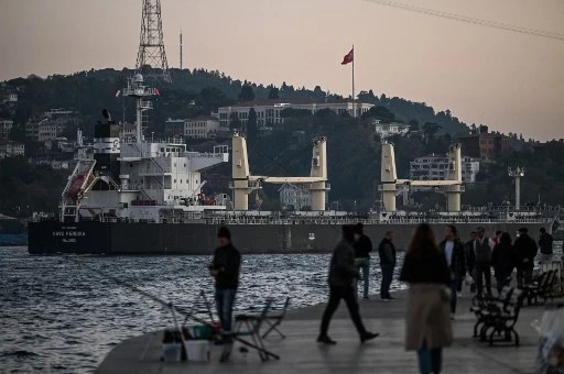 Six Grain Ships Leave Ukraine Ports after Russia Rejoins Deal: Turkey