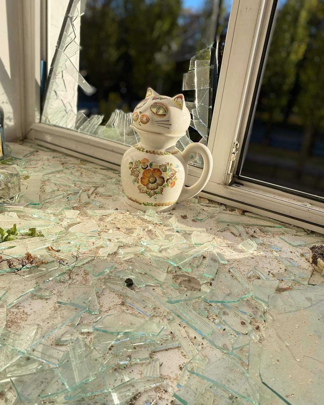 The porcelain cat that survived the missile strike on a window sill in a study room of the Institute of Philology. Photo by 
Volodymyr Bugrov

