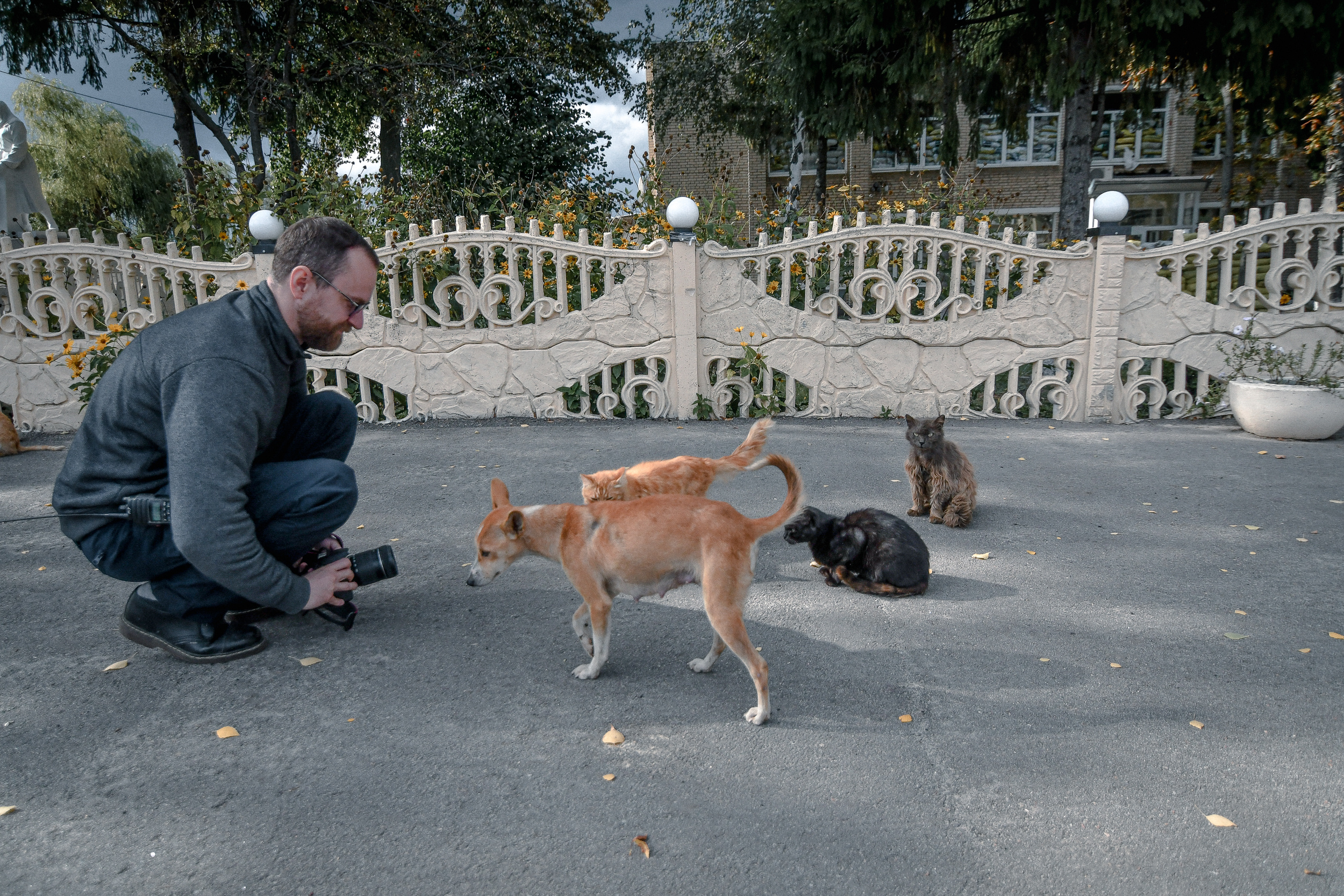 Співробітник Kyiv Post готується фотографувати бродячих собак і котів у Козачій Лопані.