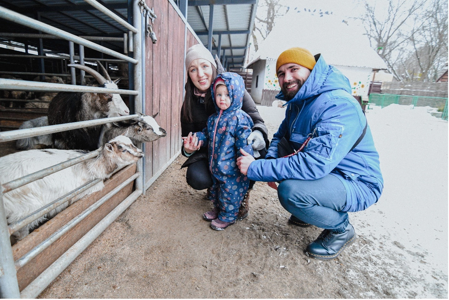 Kyiv residents Taisa, Alysa and Artem Baladin consider feeding goats at the city zoo. Dec. 10 photo by Stefan Korshak