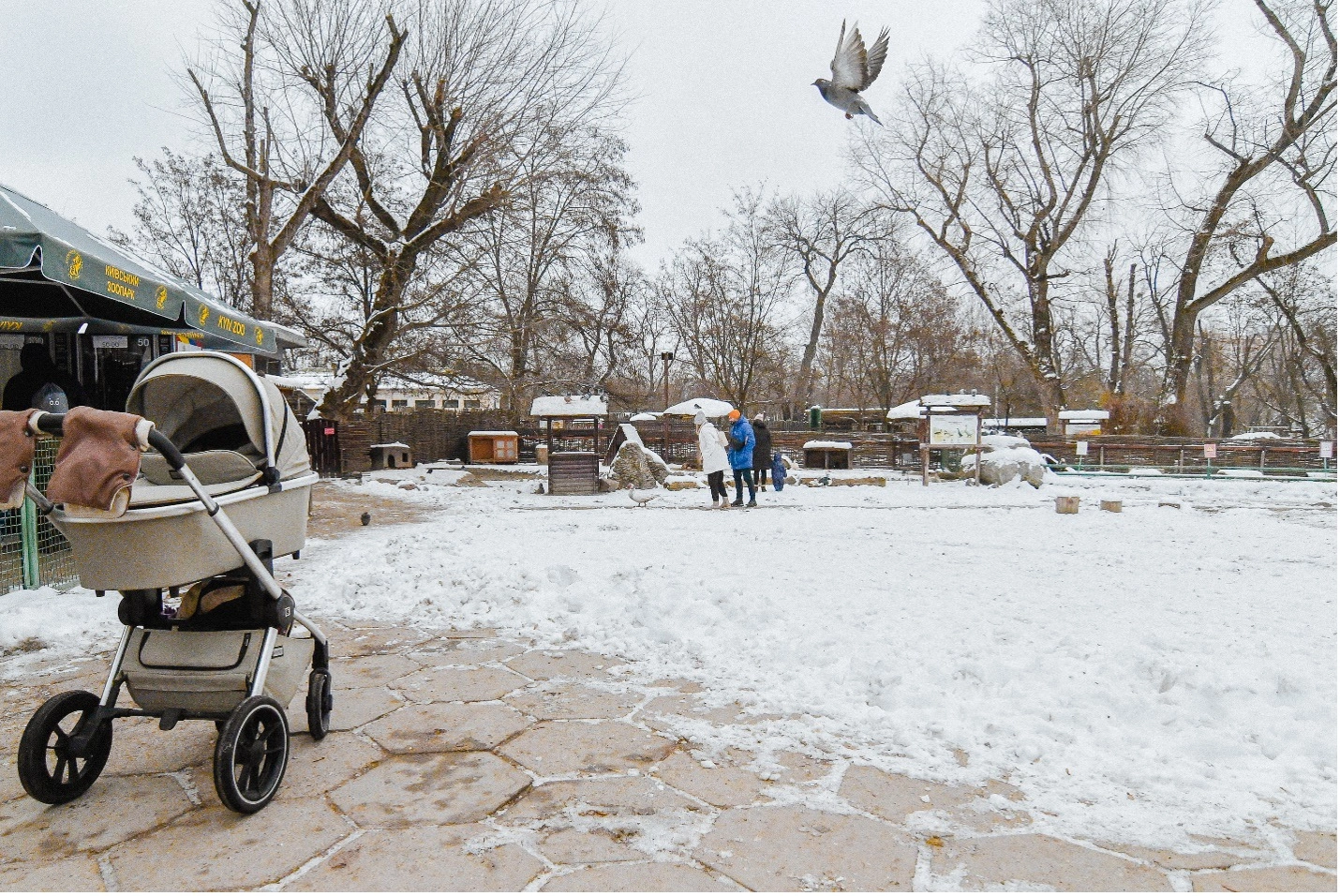 A pigeon takes to the air at the petting zoo of the Kyiv City Zoo. Most visitors to the zoo on a recent weekend were young families with children. Dec. 10 photo by Stefan Korshak.