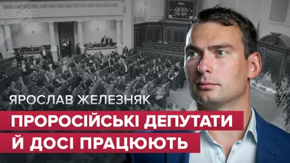 Парламент має працювати ефективніше – народний депутат Железняк