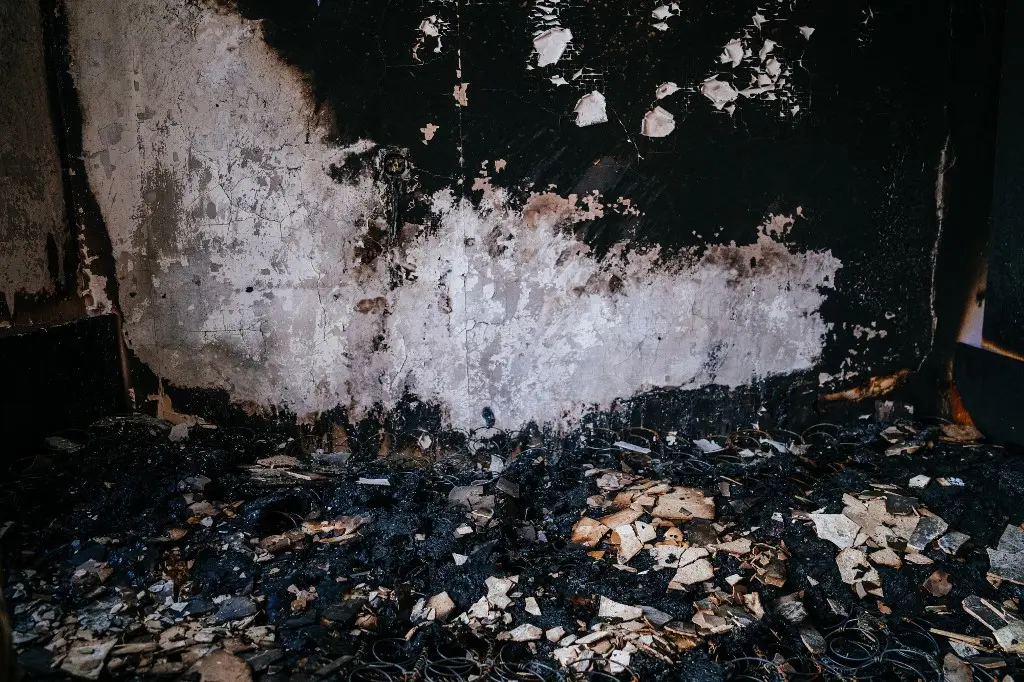 marco-oriolesi-wqLGlhjr6Og-unsplash