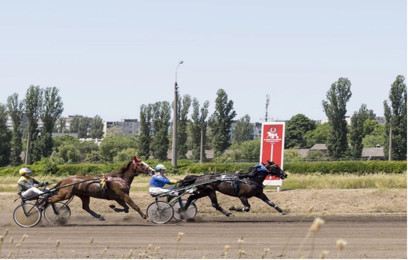 Kyiv Hippodrome on June 19, 2022.  
Photo taken from the Official Portal of Kyiv