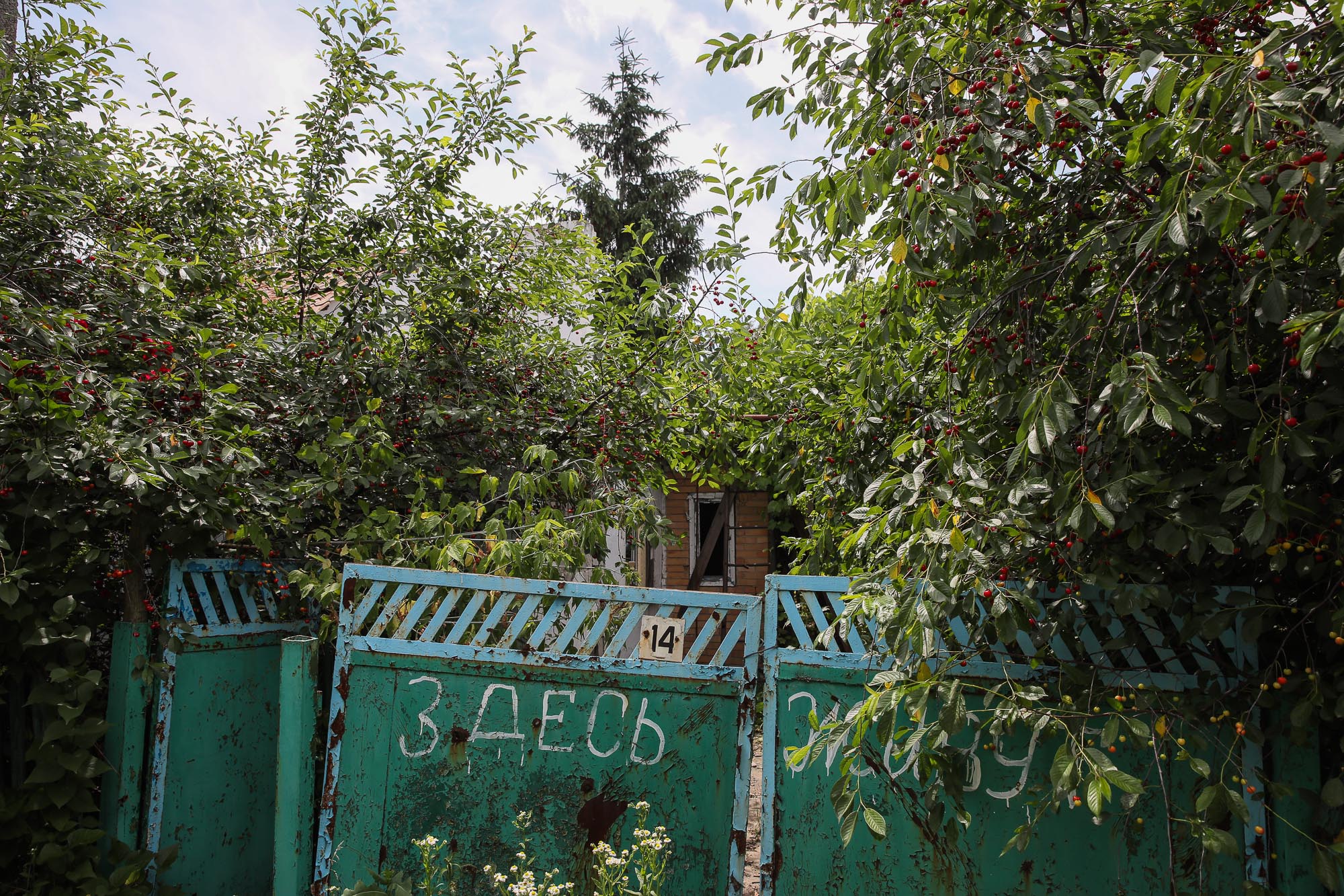 A &#8220;People live here&#8221; writing in Russian painted on a metal gate, pictured in the town of Opytne, eastern Ukraine, on June 12, 2019.