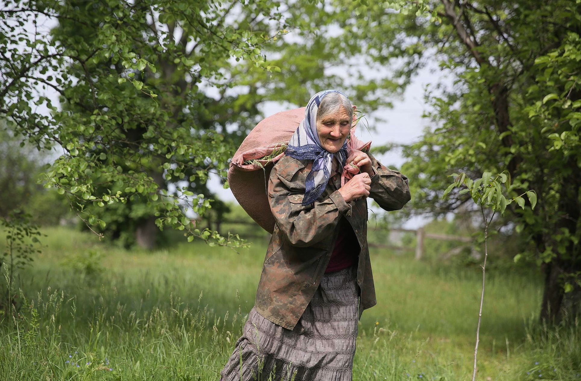 Oleksandra Vaseiko carries grass to feed her cow in her yard in the village of Sokil in Volyn Oblast.
