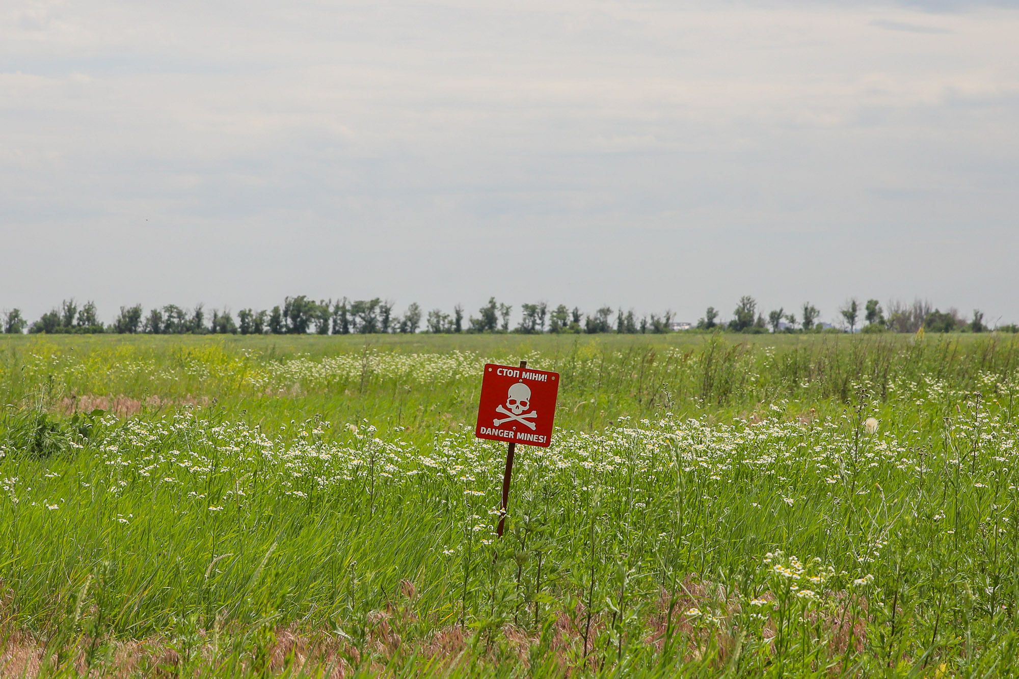 A &#8220;Danger Mines!&#8221; sign put at an anti-tank minefield just south of the city of Avdiyivka, eastern Ukraine, pictured on June 12, 2019.