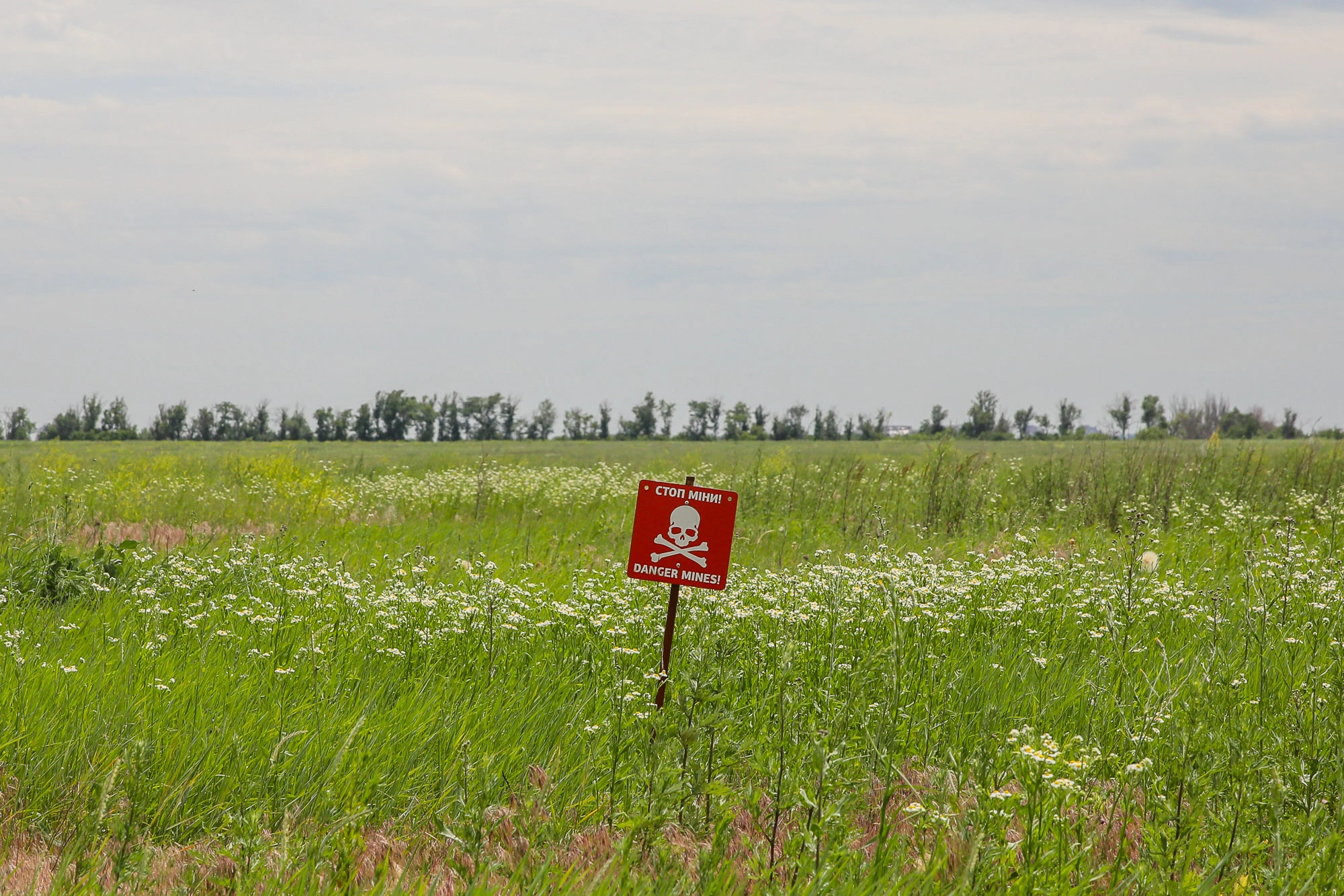 A &#8220;Danger Mines!&#8221; sign put at an anti-tank minefield just south of the city of Avdiyivka, eastern Ukraine, pictured on June 12, 2019.