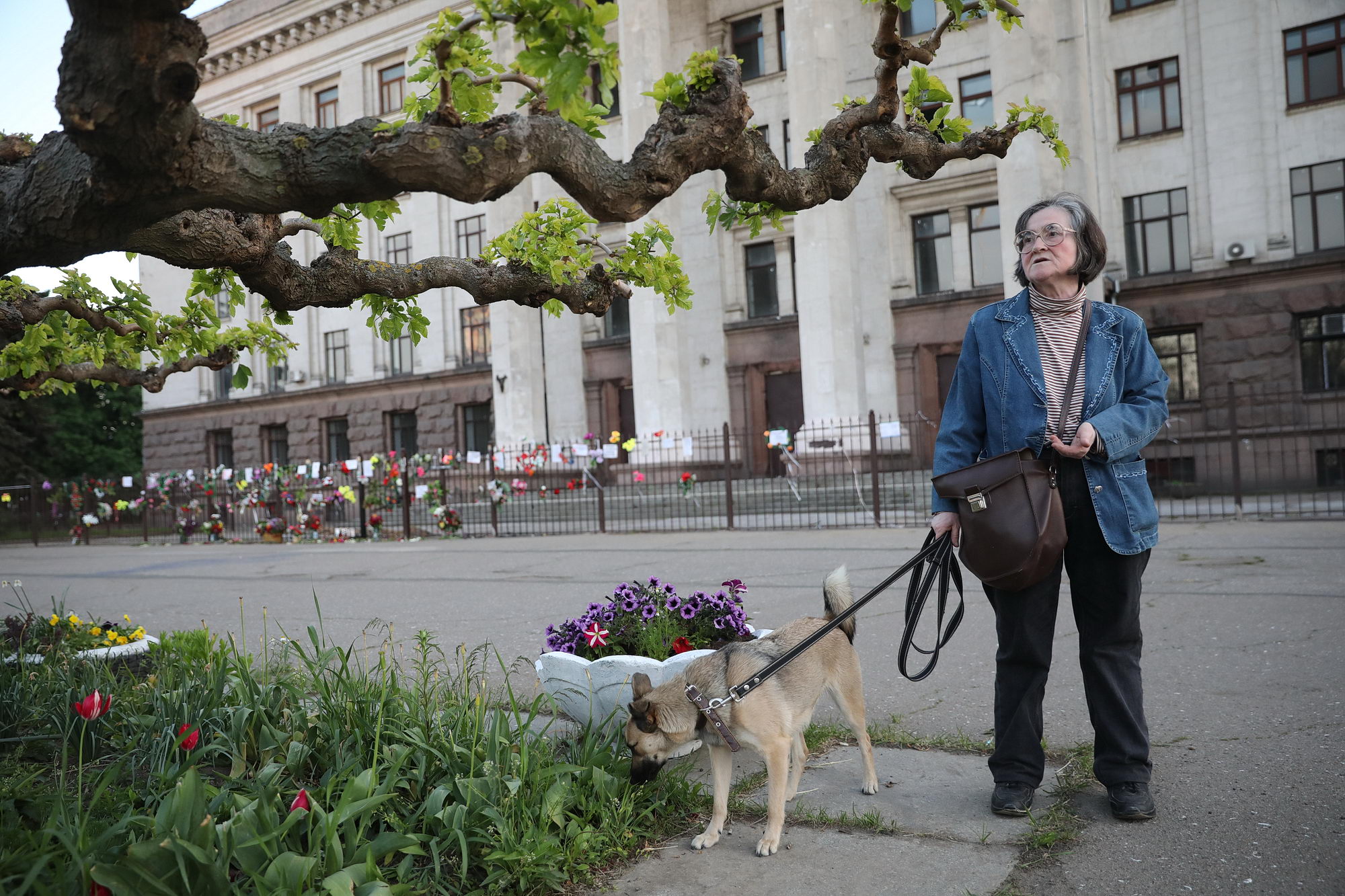 Pro-Russian activist Vera Butuk stands with her dog by the Trade Unions House in Odesa on May 12, 2019. She comes here almost every day to lit the candles in memory of 42 people who were killed by fire in that building on May 2, 2014. Butuk is one of the survivors from that fire.