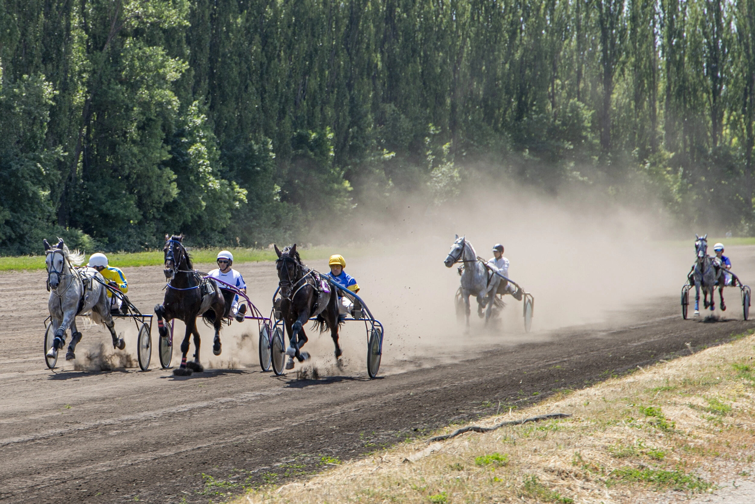 Kyiv Hippodrome on June 19, 2022.  
Photo taken from the Official Portal of Kyiv