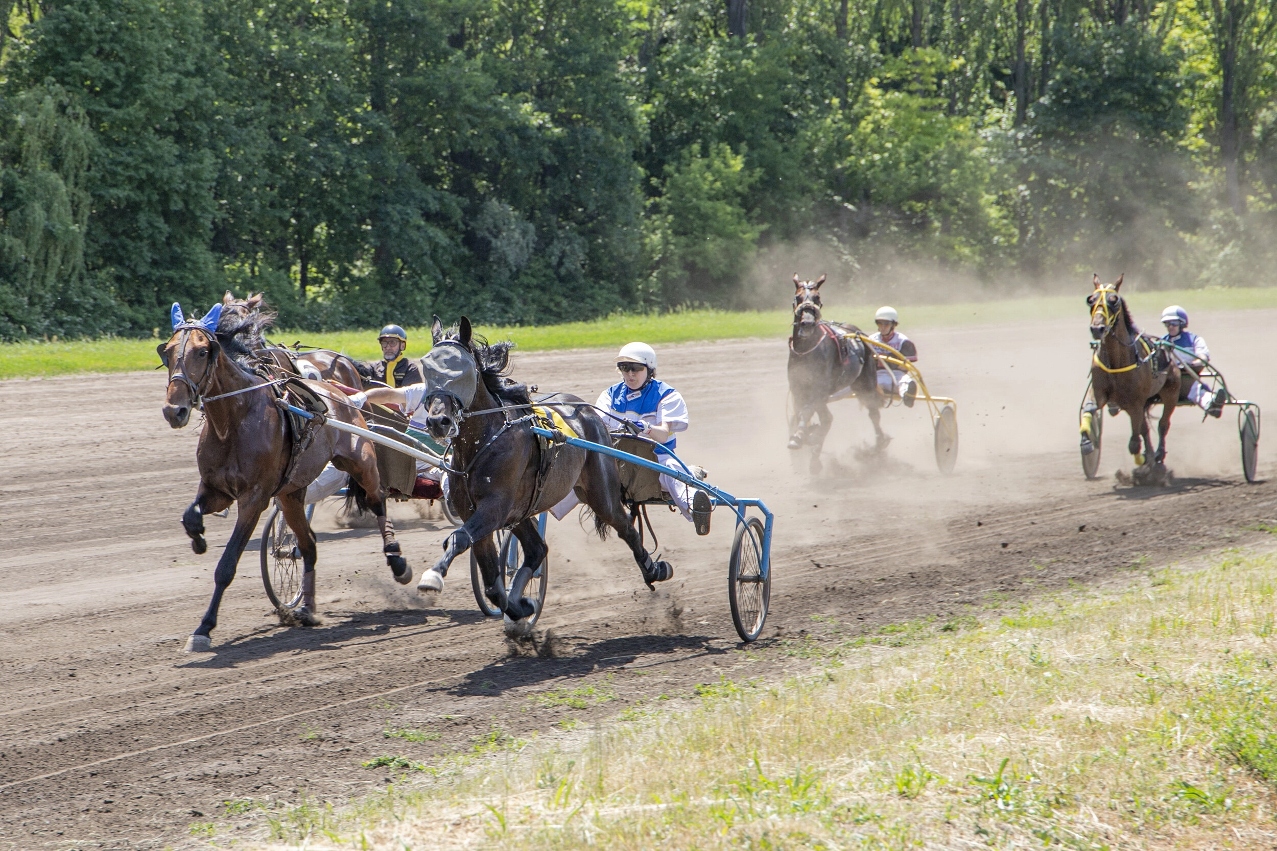 Kyiv Hippodrome on June 19, 2022.  
Photo taken from the Official Portal of Kyiv