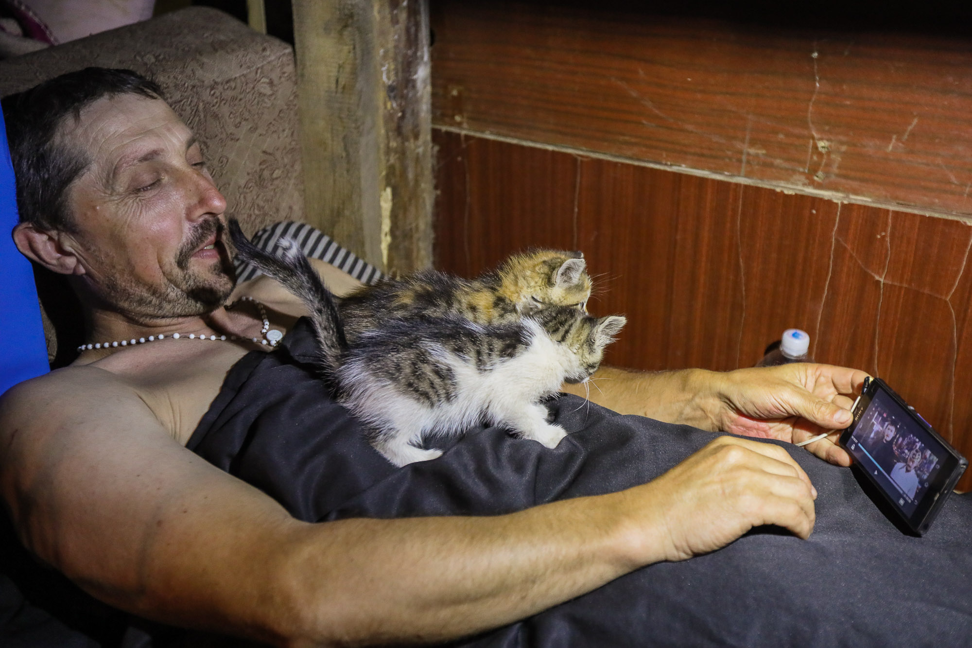 A Ukrainian soldier plays with kittens as he watches a video on his smartphone in the town of Zaitseve on June 25 