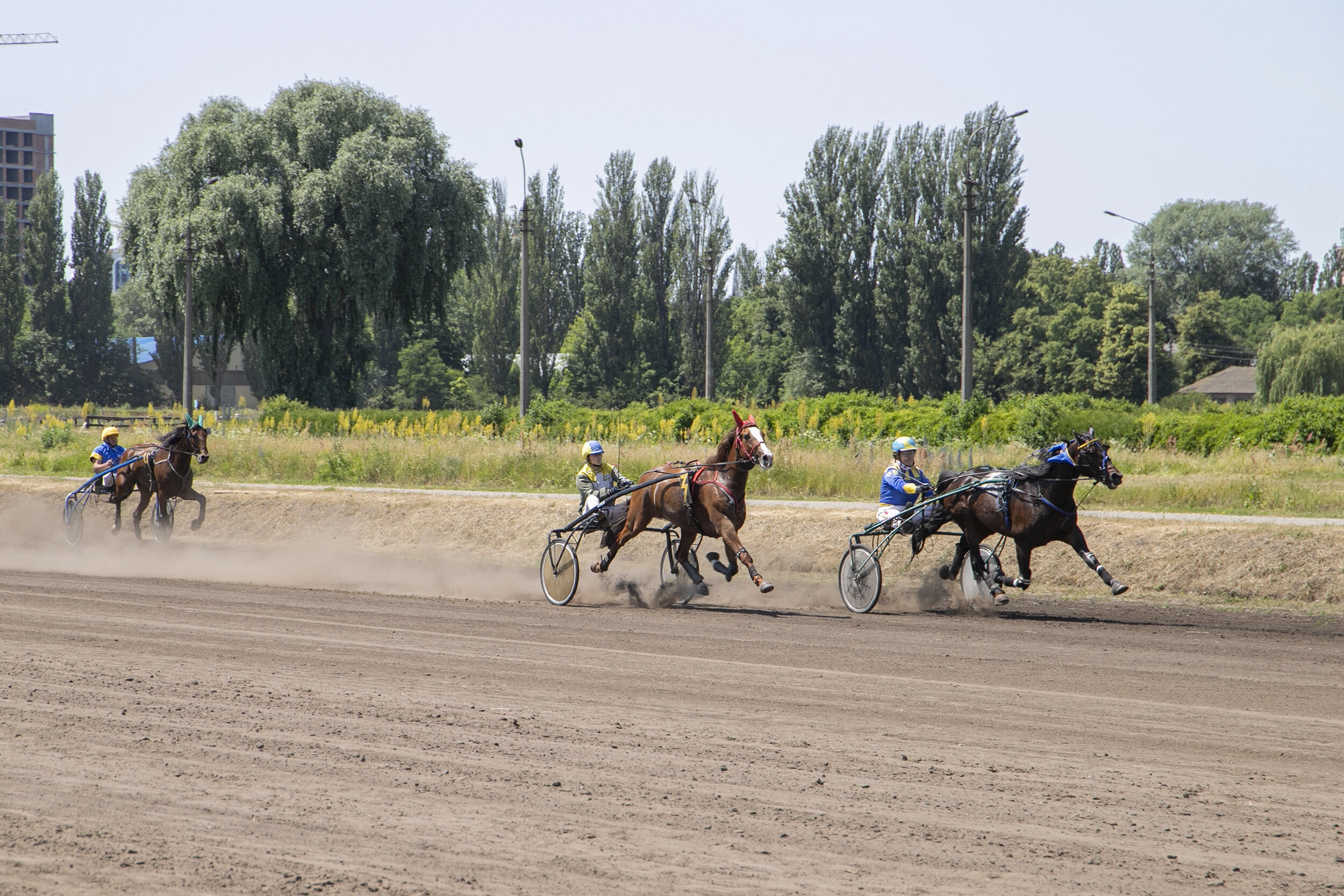 Kyiv Hippodrome on June 19, 2022.  
Photo taken from the Official Portal of Kyiv