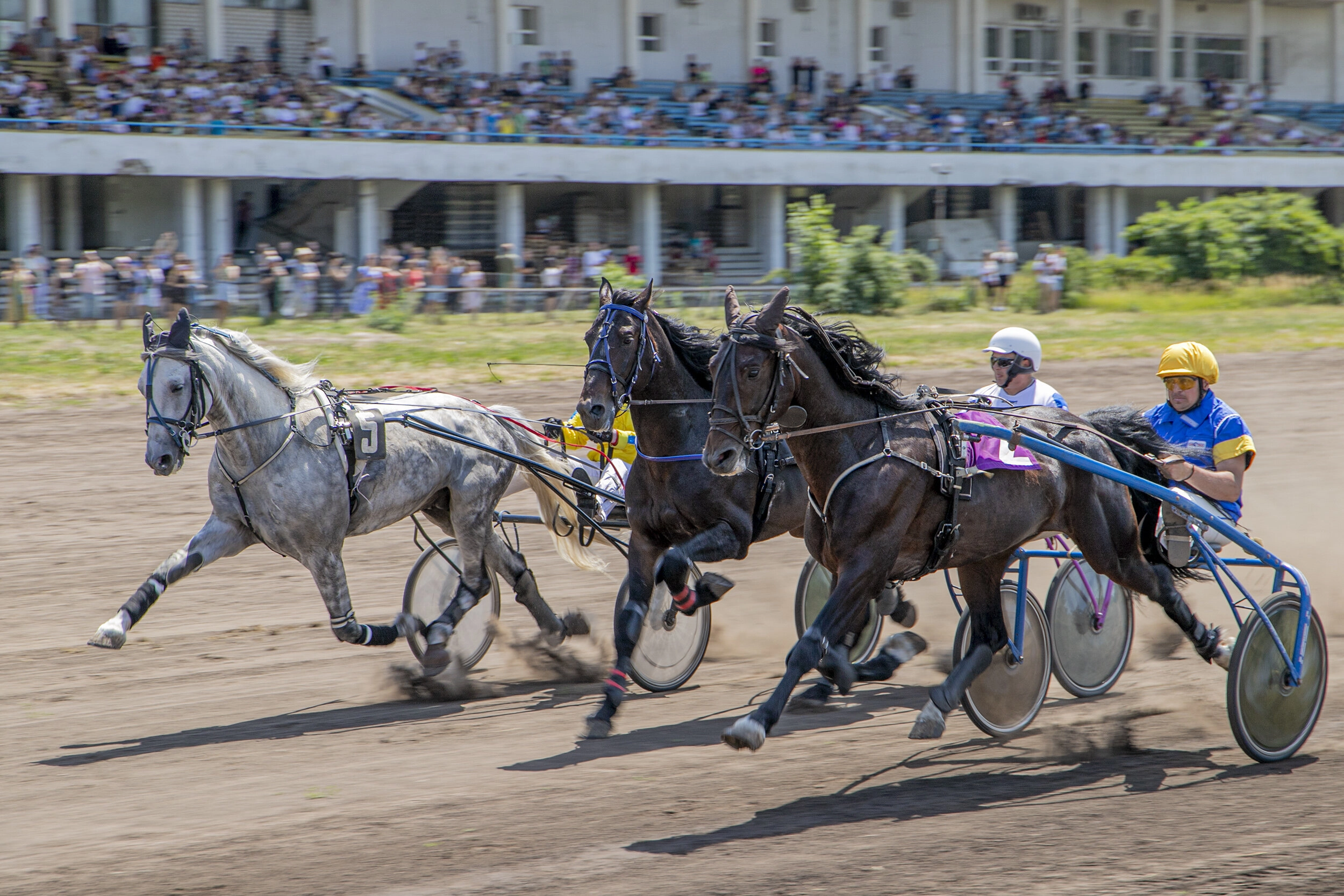 Kyiv Hippodrome on June 19, 2022.  
Photo taken from the Official Portal of Kyiv
