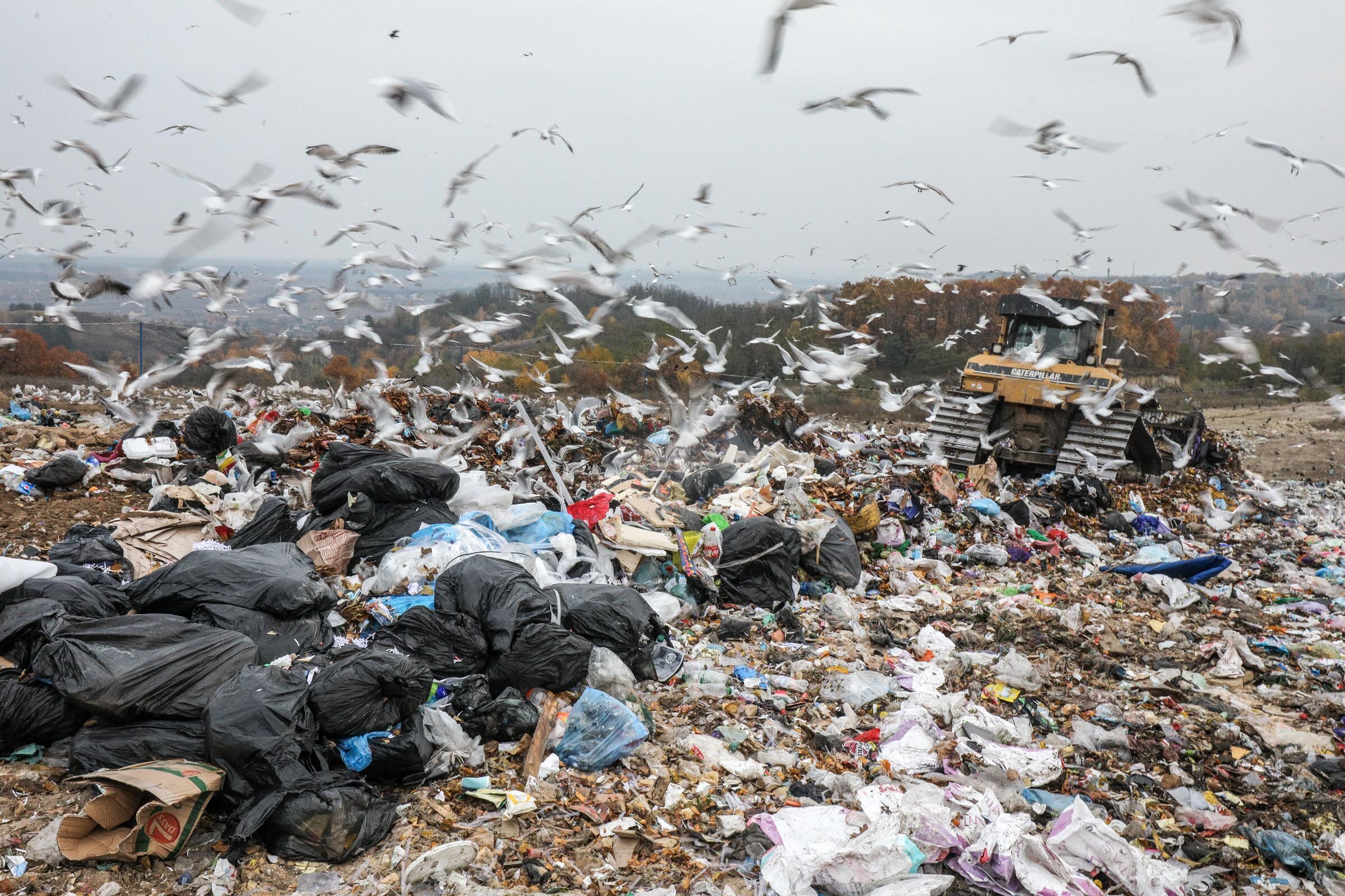 Landfill in Pidhirtsi village, Kyiv Oblast, on Nov. 12, 2020.