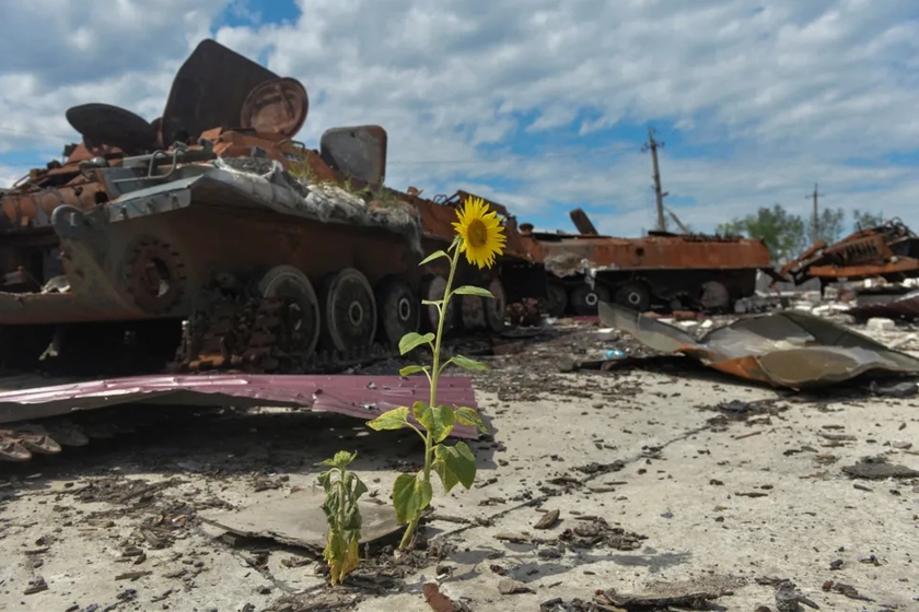 “Забруднення не визнає кордонів”. Як війна РФ проти України впливає на екологію Європи