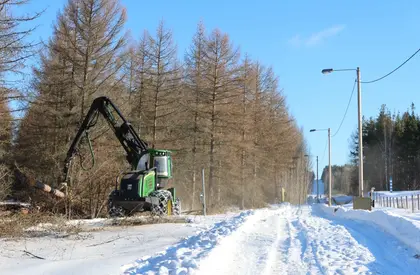 У Фінляндії розпочалося будівництво стіни на кордоні з РФ